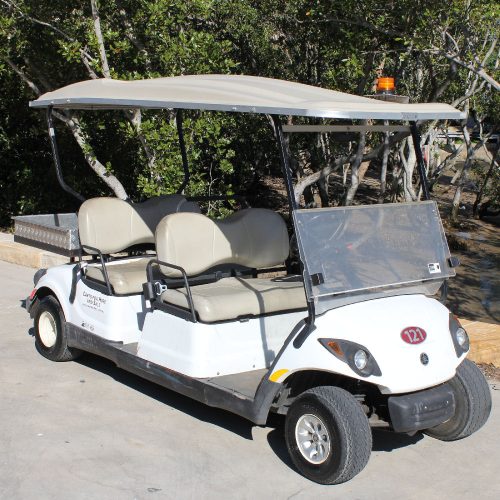 Electric 4/seaters With Rear Tray
