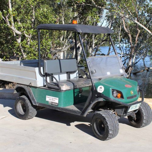 Electric Utility Medium Golf Cart World